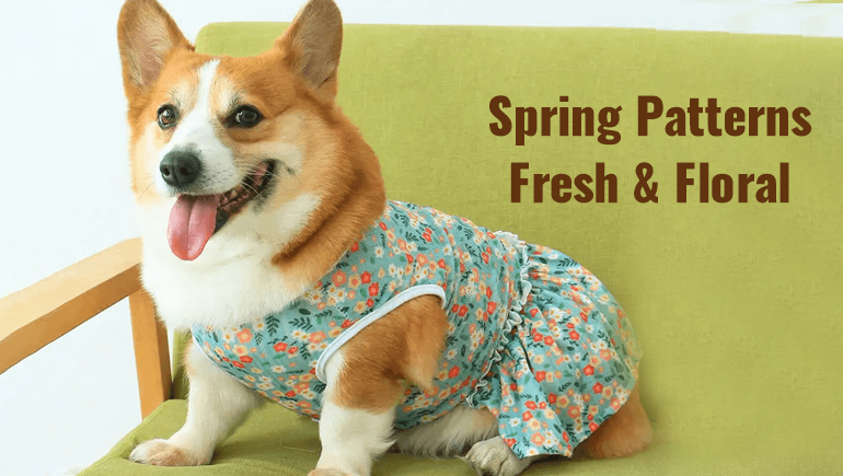 spring patterns fresh