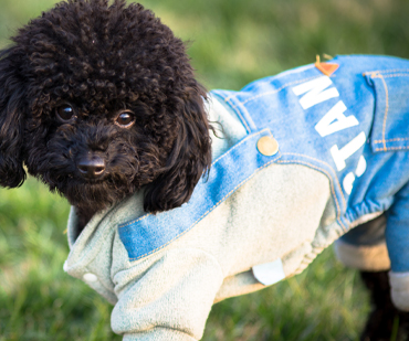 Pet Clothing Manufacturers