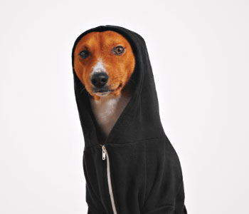 Cozy Sweaters and Hoodies