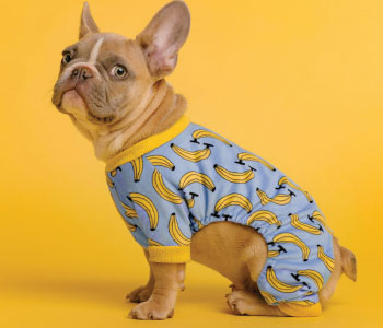 custom designs pet clothing
