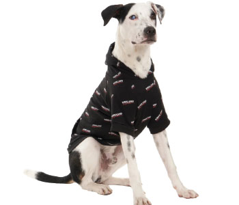 functional apparel pet clothing
